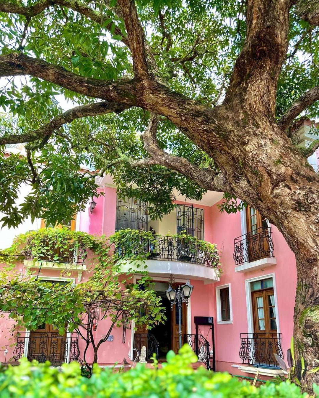 Hotel Boutique Quinta Das Videiras Florianópolis Exterior foto